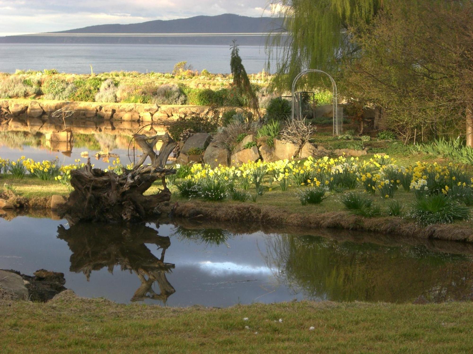 Hawley House Hotel Port Sorell Eksteriør billede