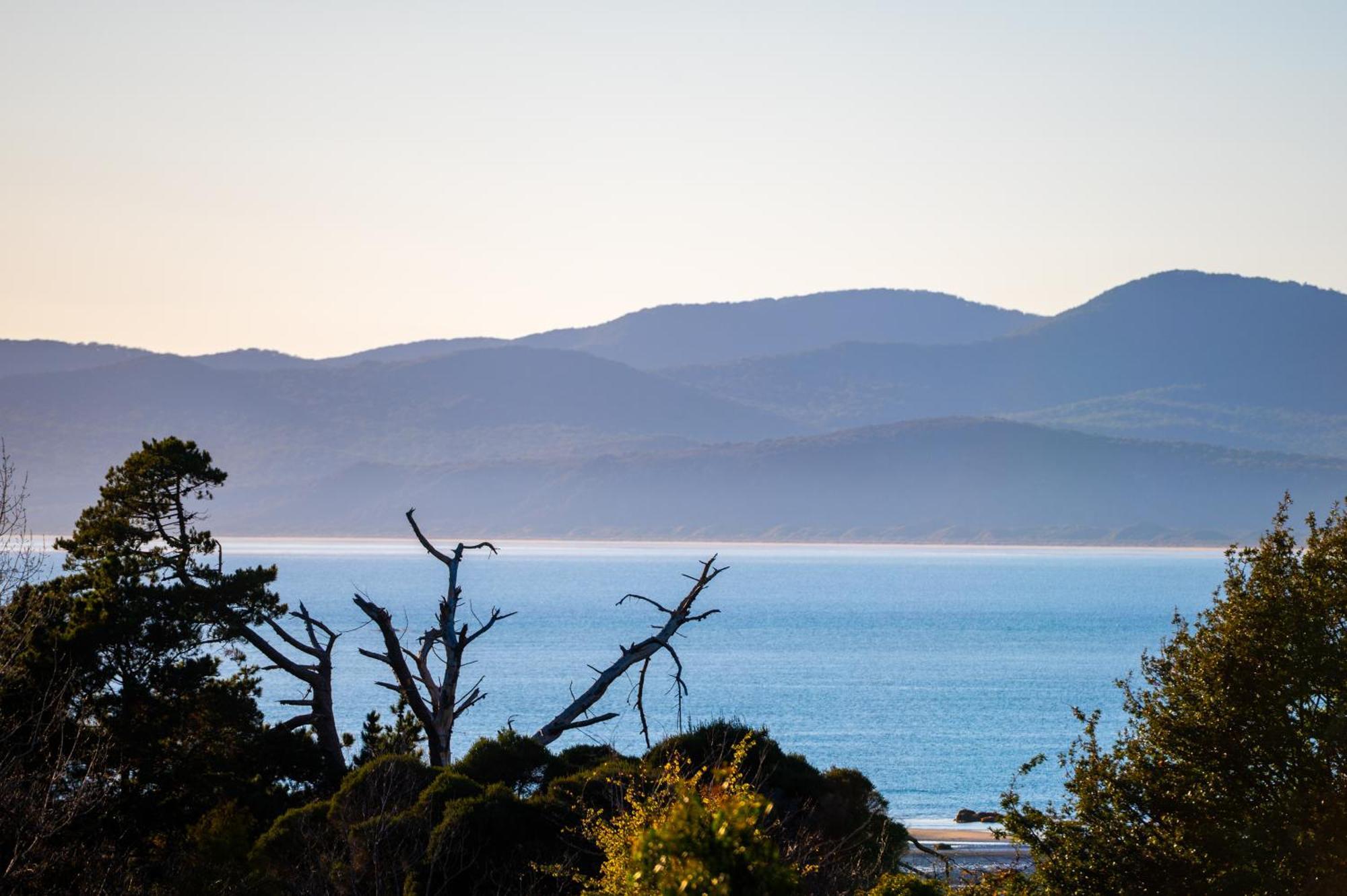 Hawley House Hotel Port Sorell Eksteriør billede