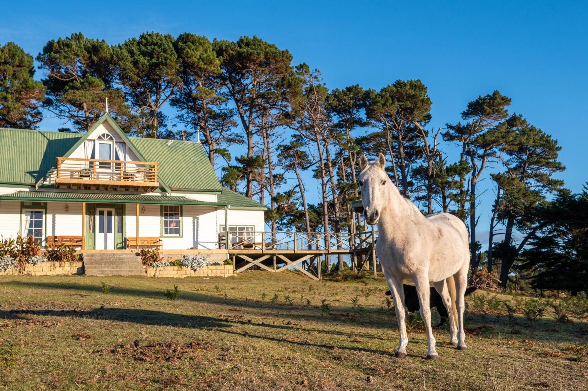 Hawley House Hotel Port Sorell Eksteriør billede